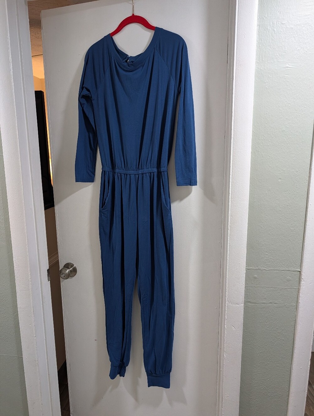Pretty Garden Blue Long-Sleeve Jumpsuit